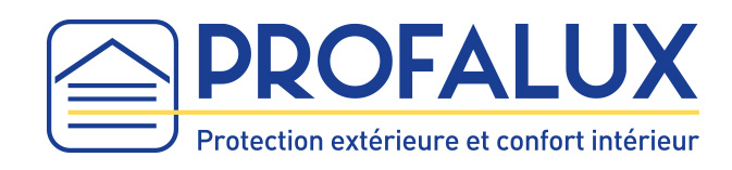 Logo Profalux bleu BL OK